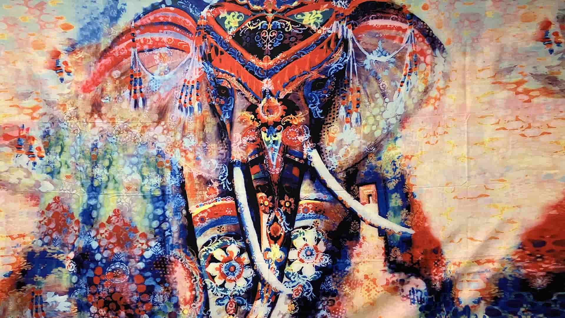 Picture of a tie dye bohemian elephant